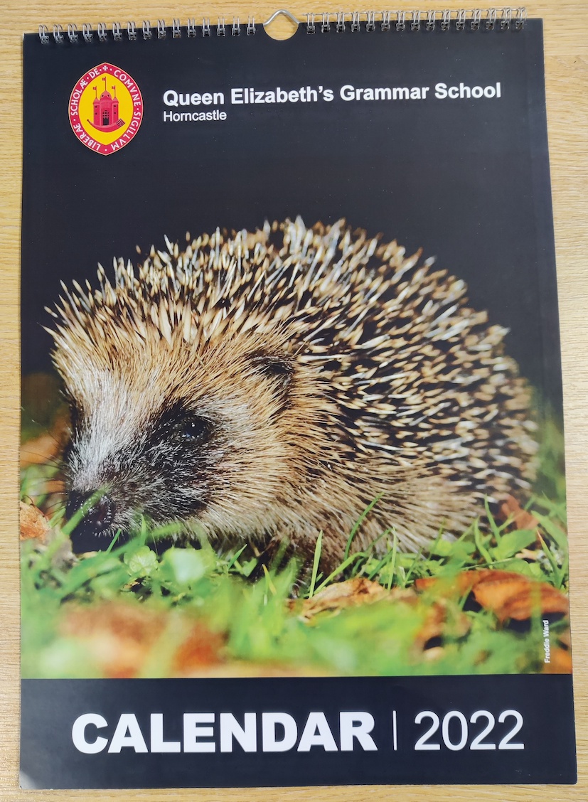 Front cover of the QEGS 2022 wall calendar.  Features a hedgehog.